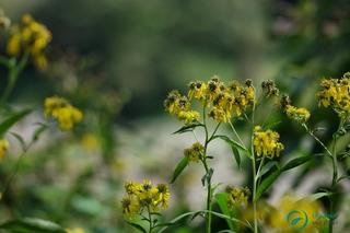 벽계저수지가 흐르고 호랑이, 도깨비 전설이 담긴 도깨비 다리로 드라이브 가요.