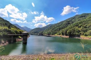 드라이브하기 좋은 곳에서 만나는 나무 그늘의 명소 벽계관광지 생태공원