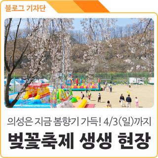 경북 의성은 봄향기로 가득~ <남대천 벚꽃축제> 왔어요~
