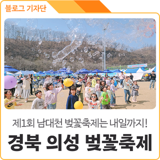 제1회 남대천 벚꽃 축제 이야기! 보고, 듣고, 먹고, 즐기는 오감만족 의성 대표 행사, 내일까지~