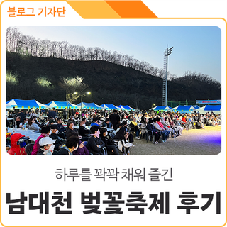 경북 의성 봄나들이 <제1회 남대천 벚꽃축제>에 다녀왔어요! 생생후기