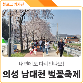 기분 좋은 봄나들이~ 의성 <제1회 남대천 벚꽃 축제>에 다녀왔어요!