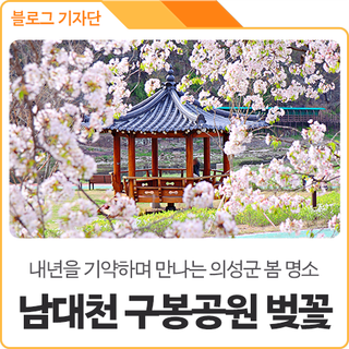 내년을 기약하며 만나는 경북 가볼만한 벚꽃 명소, 의성 남대천 구봉공원 봄 풍경