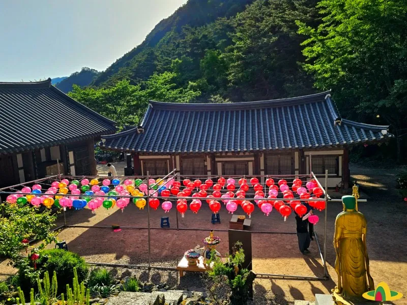 5월 연휴 가볼만한 곳 추천 :: 부처님 오신날을 준비하는 아름다운 절 ...
