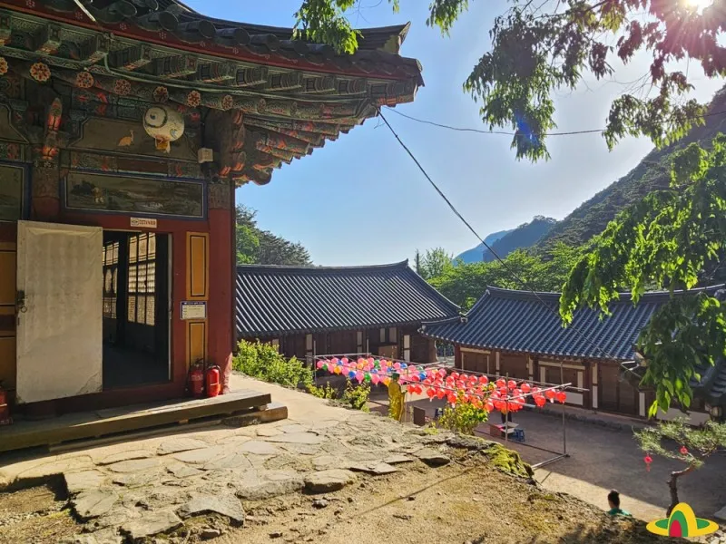 5월 연휴 가볼만한 곳 추천 :: 부처님 오신날을 준비하는 아름다운 절 ...