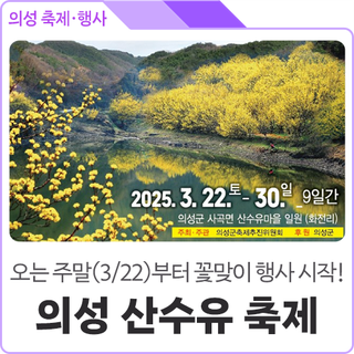 2025 경북 봄축제 어디가지? 의성 산수유 꽃맞이 행사 이번 주말부터 시작~ 기본정보, 작년 리뷰 후기