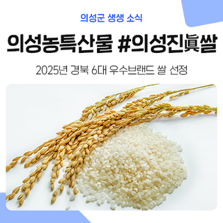 의성 농특산물 의성진眞쌀 최고! 밥 맛이 좋은 이유가 있다?!