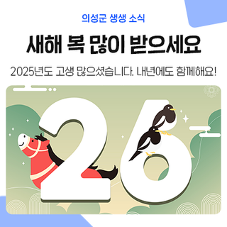 붉은 말의 해! 새해 복 많이 받으세요! 2026년 병오년 인사말 모음 추천