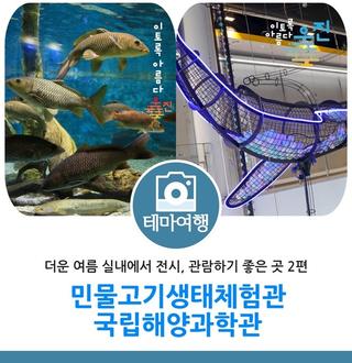 더운 여름 실내에서 전시, 관람하기 좋은 곳 2편