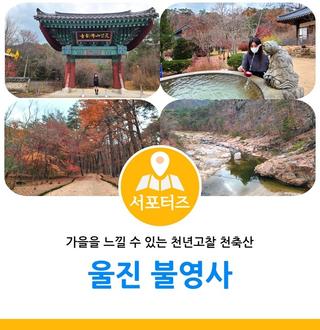 가을을 느낄 수 있는 천년고찰 천축산 울진 불영사
