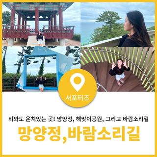 비 와도 운치 있는 울진 망양정 해맞이공원 바람소리길