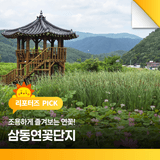 조용하게 즐겨보는 연꽃! 삼동연꽃단지