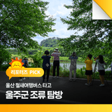 울산 철새여행버스 타고 울주군 조류 탐방