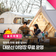 캠핑족 주목! 올해 말까지 대운산 하늘숲 야영장 무료 운영