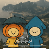 25년 7월 3주차 '주간 울릉통신' 제36호 발행