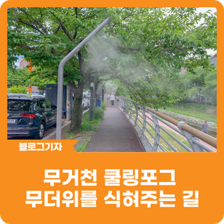 [블로그 기자] 무거천 쿨링포그 무더위를 식혀주는 길