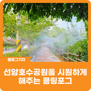 [블로그 기자] 선암호수공원을 시원하게 해주는 쿨링포그