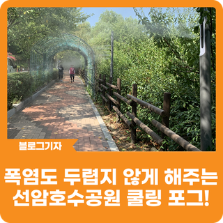 [블로그 기자] 폭염도 두렵지 않게 해주는 선암호수공원 쿨링 포그!