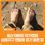 [블로그 기자] 울산 태화강 국가정원 삼호지구 맨발로 걷기 좋은 길