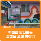 [블로그 기자] 벽화로 만나보는 장생포 고래 이야기