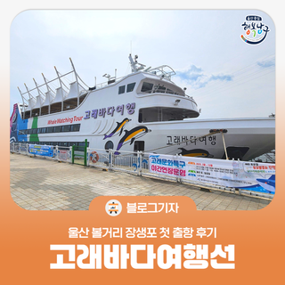 [블로그 기자] 울산 볼거리 장생포 고래바다여행선 첫 출항 후기