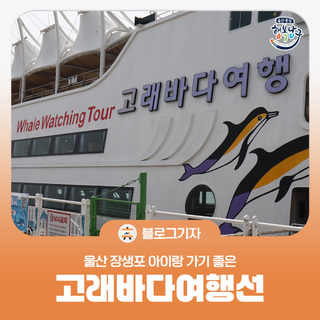 [블로그 기자] 울산 장생포 아이랑 가기 좋은 고래바다여행선 이용 방법