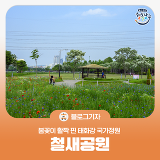 [블로그 기자] 태화강 국가정원 철새공원에 봄꽃들이 활짝 폈어요