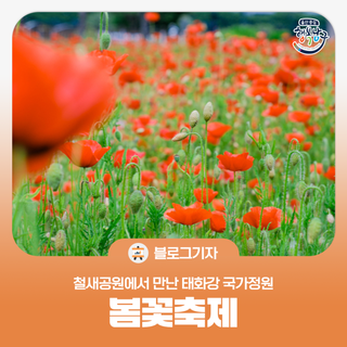 [블로그 기자] 철새공원에서 만난 태화강 국가 정원 봄꽃축제
