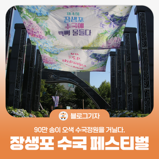 [블로그 기자] 제4회 장생포 수국 페스티벌 90만 송이 오색 수국정원을 거닐다.