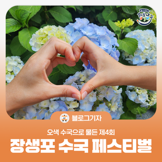 [블로그 기자] 오색 수국으로 물든 제4회 장생포 수국 페스티벌