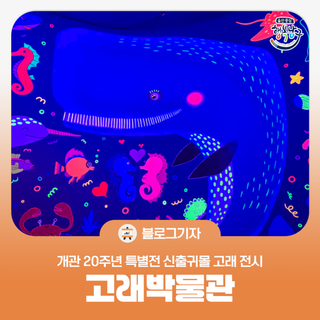 [블로그 기자] 고래박물관 개관 20주년 특별전 신출귀몰 고래 전시