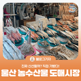 [블로그 기자] 진짜 신선할까??울산 농수산물 도매시장 직접 가봤더니