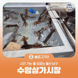 [블로그 기자] 시간 가는 줄 모르는 울산 남구 수암상가시장 구경