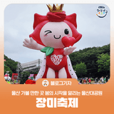 [블로그 기자] 울산 가볼 만한 곳 봄의 시작을 알리는 울산대공원 장미축제