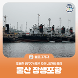 [블로그 기자] 울산 장생포항, 조용한 항구가 품은 오랜 시간의 풍경