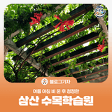 [블로그기자단_작성완료]여름 아침 비 온 후 청정한 삼산 수목학습원 산책
