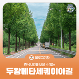 [블로그 기자] 휴식의 시간을 보낼 수 있는 두왕메타세쿼이아길 그리고 지산소류지