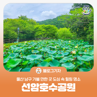[블로그 기자] 울산 남구 가볼 만한 곳 도심 속 힐링 명소 선암호수공원