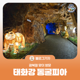 [블로그 기자] 광복절 맞이 태화강 동굴피아 방문