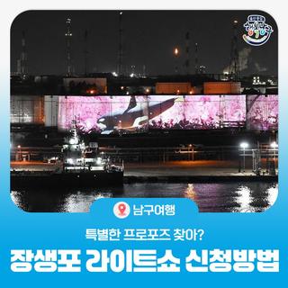 특별한 프러포즈 찾아? 울산 남구 장생포 라이트쇼 신청방법