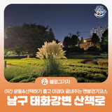 [블로그 기자] 야간 운동 & 산책하기 좋은 곳 / 야경이 끝내주는 남구 태화강변 산책로 맨발걷기코스