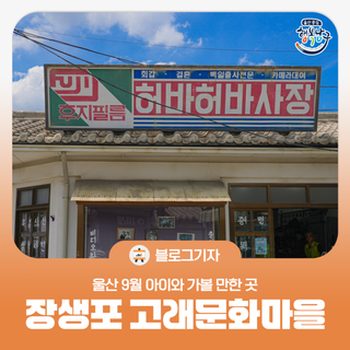 [블로그 기자] 울산 9월 아이와 가볼 만한 곳 장생포 고래문화마을