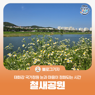 [블로그 기자] 태화강 국가정원 철새공원에서 눈과 마음이 정화되는 시간