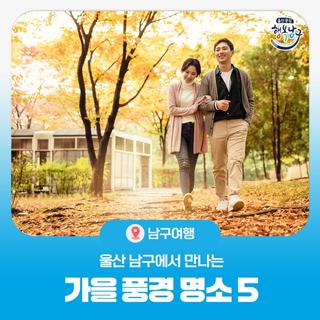 울산 남구에서 만나는 가을 풍경 명소 5