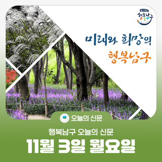 [행복남구 오늘의신문] 남구, 직접 키운 단감 수확!~ 올해도 나눔‍‍ (11월 3일 월요일)