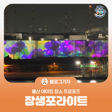 [블로그 기자] 울산 데이트 장소 프로포즈 장생포라이트