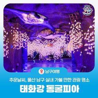 추운날씨, 울산 남구 실내 가볼 만한 관광 명소ㅣ태화강 동굴피아