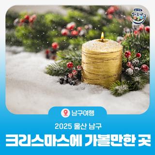 울산 남구 크리스마스 가볼 만한 곳ㅣ울산대공원, 장생포고래문화특구, 삼산디자인거리
