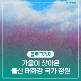 가을이 찾아온 울산 태화강 국가 정원