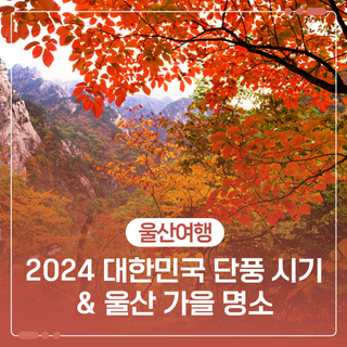 2024 대한민국 단풍 시기&울산 가을 명소